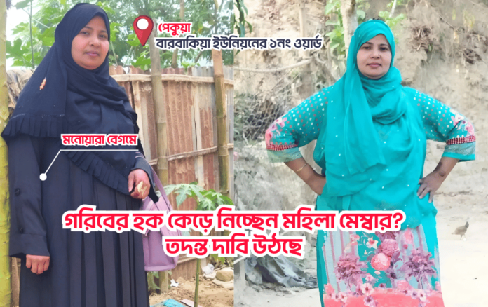 বারবাকিয়া ইউনিয়নের ১নং ওয়ার্ডের মহিলা সদস্য মনোয়ারা বেগম